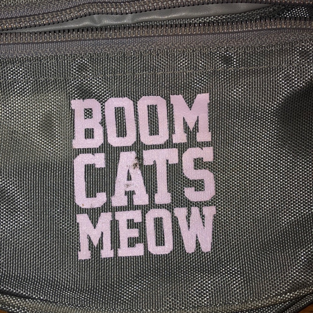 Fanny pack - Picture 2 of 2
